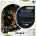اکانت قانونی The Last Of Us Remastered برای PS5 و PS4